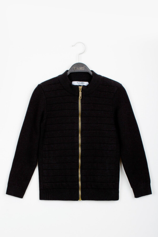 Boy's Slim Fit Full Zipper Padded Basic Wool Pullover