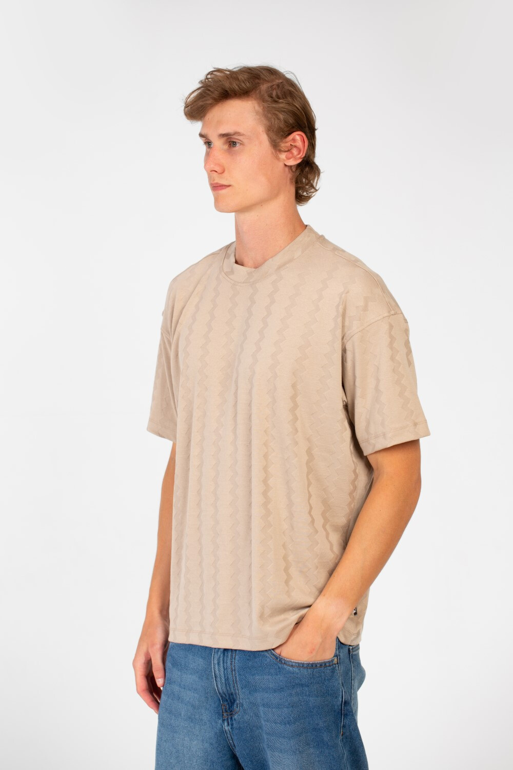 Men's Regular Fit Short Sleeves Basic Details T-shirt With High Quality Modern Design 