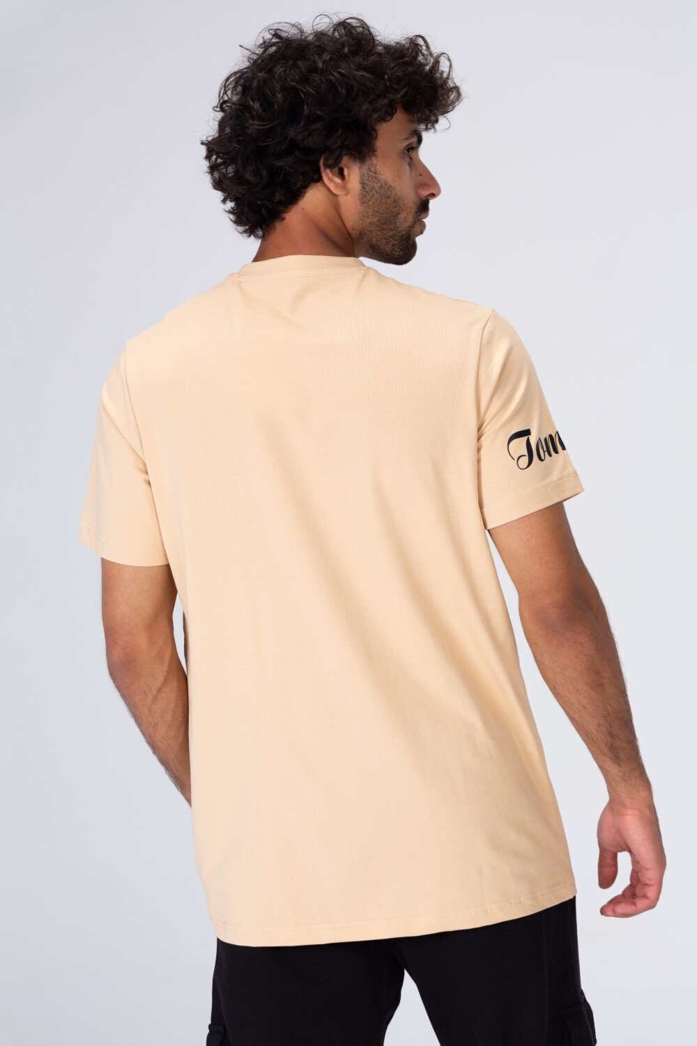 Mens Regular Fit Round Neck Printed T-shirt