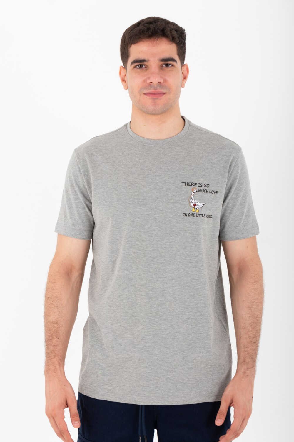 Mens Round Slim Fit Printed T-shirt With Single Lycra Material