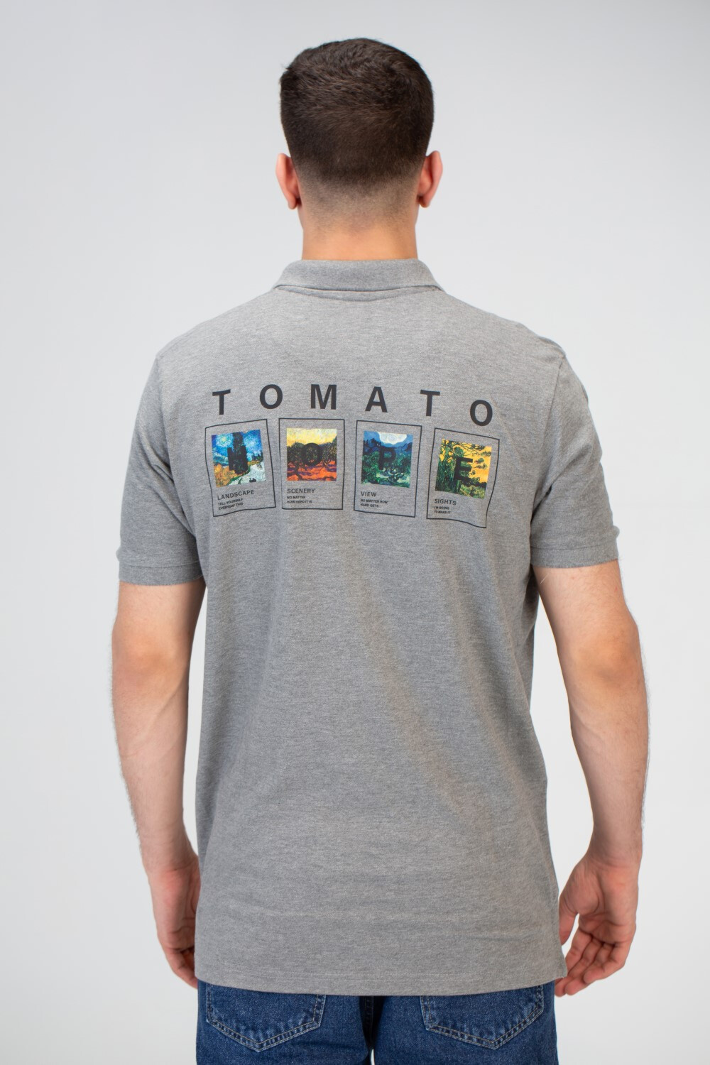 Mens Slim Fit Polo T-Shirt With Round Neck And Front & Back Print